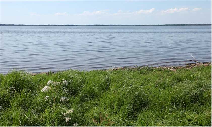 Stranden vid Sketrek under sommaren 2012