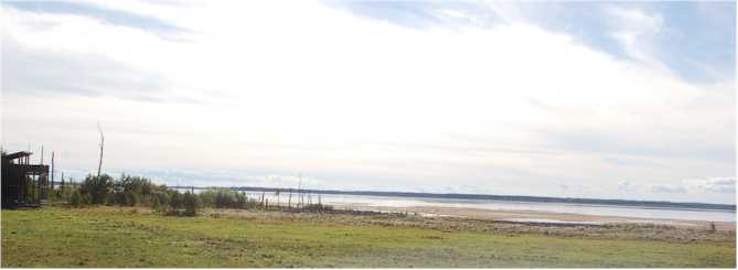 stranden vid Fholmen aug 2013