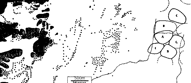 Ntkrka Nucifraga caryocatactes living areas at Billingen Sweden 